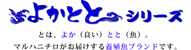 よかととシリーズとは、よか（良い）とと（魚）。
マルハニチロがお届けする新・増養殖魚ブランドです。